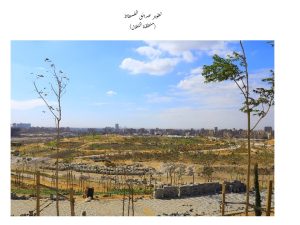 حديقة تلال الفسطاط